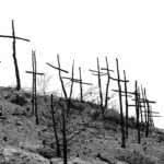 Incêndios na Galiza: terrorismo real