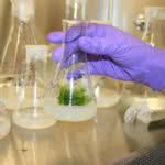 Projeto da Universidade da Madeira reconhecido na União Europeia