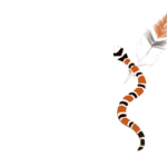 Poema “Canta o caboclo a cobra coral”