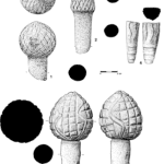 Crenças, símbolos e rituais funerários na Idade do Cobre em Portugal