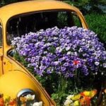 Vida sustentável nas cidades é cultural. E, isto se aprende!