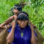 Como povos indígenas ajudam a acabar com a fome no mundo?