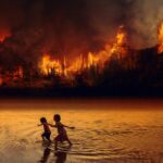 Relatório alerta para perda de biodiversidade sem precedentes na história