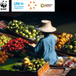 Oportunidades perdidas na redução de emissões de gases de efeito estufa