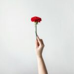 ENTRE CRAVOS E MEMÓRIAS: A Revolução de Abril na Imprensa e na Opinião Pública — Um Ensaio Transgeracional e Transnacional