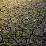 ONDAS DE CALOR, SECAS E NOVOS VETORES DE DOENÇAS EM PORTUGAL: Um Desafio Emergente para a Saúde Pública em 2025